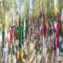 20160827_15-20-20_IMG_5917-Panorama